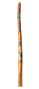 Heartland Didgeridoo (HD483)